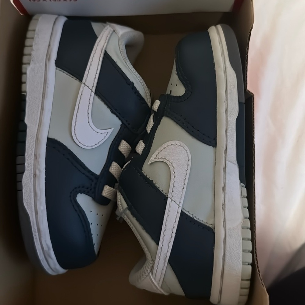 Nike dunks, worn a couple of times.